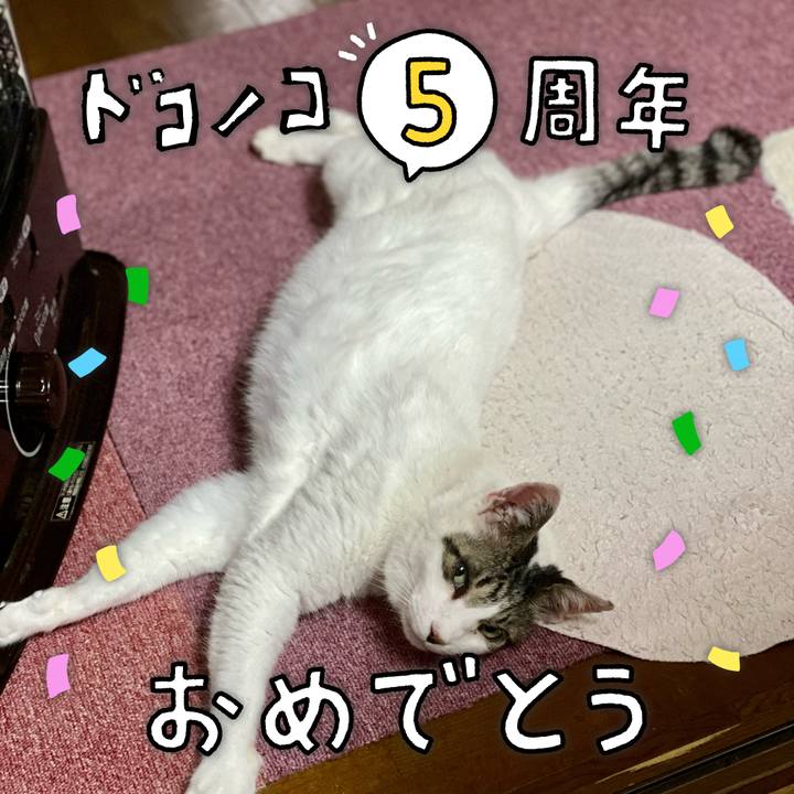 699310dd e3cd 4582 9af0 8c8737ff3a49 1622855862119