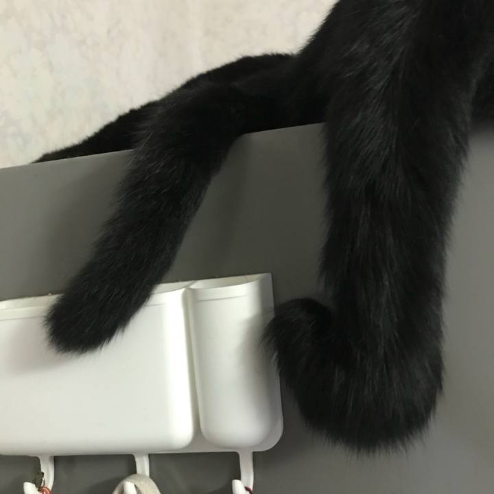 69935114 120e 4731 8445 eeb0a2928923 1531233423333