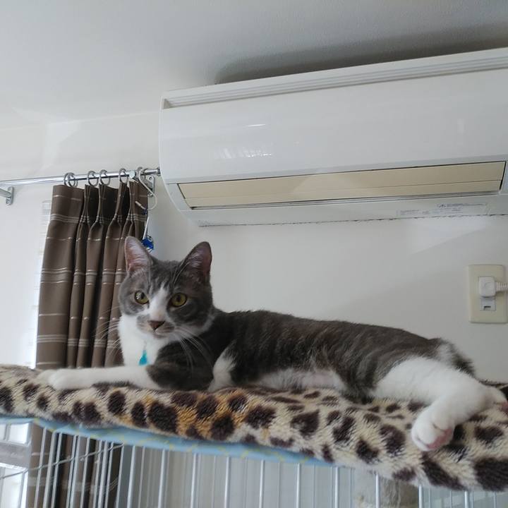 69936f13 36fc 4418 a7ad 9f6574e1141c 1589411858699