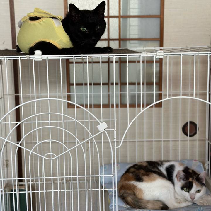 6993d946 6b95 4a65 ab54 02fd7296c1b8 1721530849183