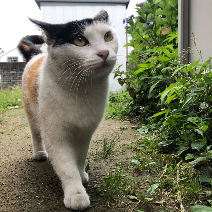 6993dbe6 5ca8 4bbf 9750 4a5beabc1f9c 1623407072206