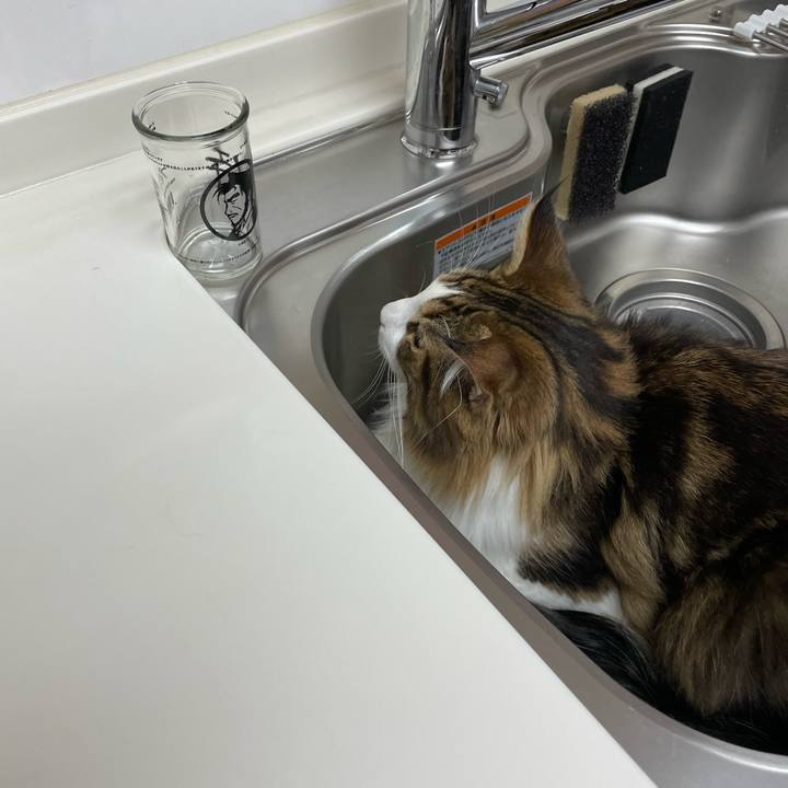 6993e0a1 aed3 4ec9 9f42 53c863385ec4 1652386753928