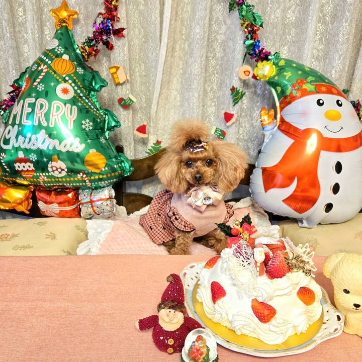 6993f262 3d68 456e 9dad a250ebb60b5e 1766665925016