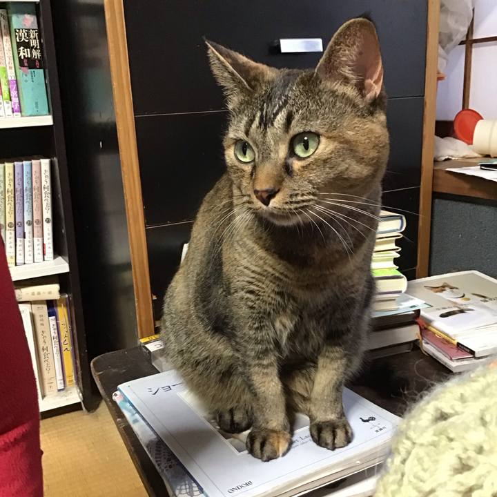 6993fc0f e081 4743 9241 cdb5c452fcd8 1729754631925