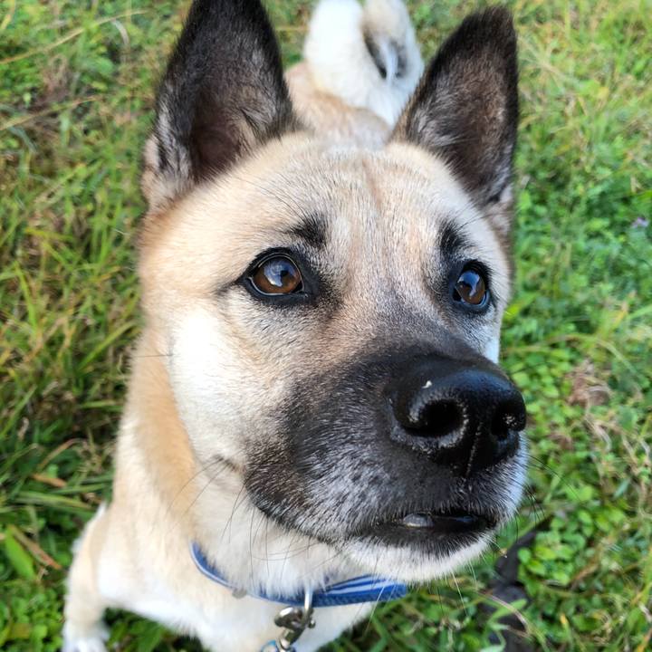 69940a70 7f73 4b5a a481 d8f6fabfb6f6 1543926797601