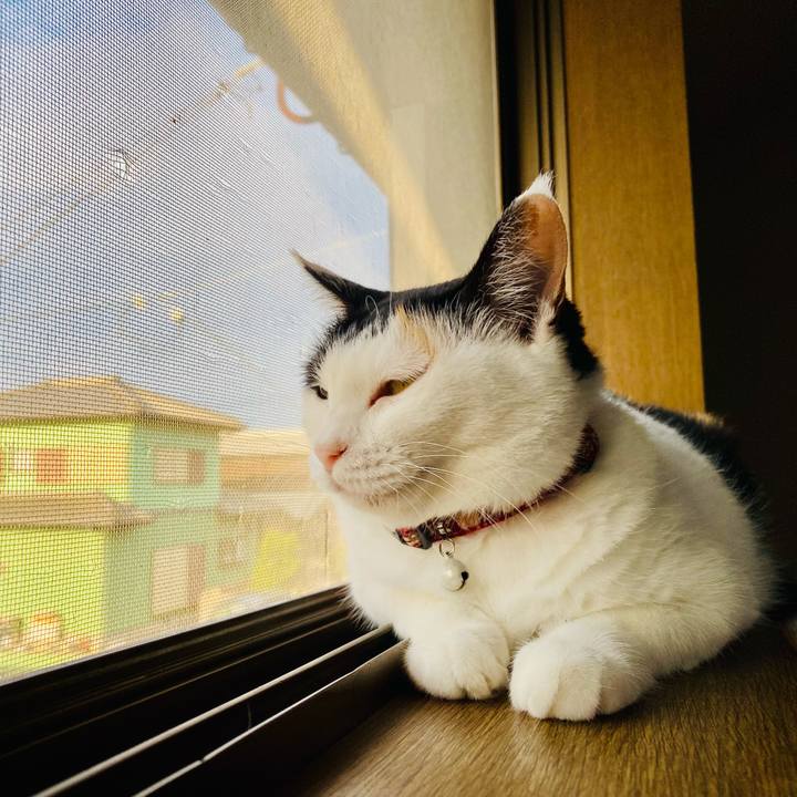 699494e9 9063 41e9 876d ac3c55534bf4 1660430838824