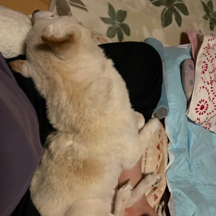 6994ff88 8a5c 4450 ae65 032e09d9cc84 1673377758437