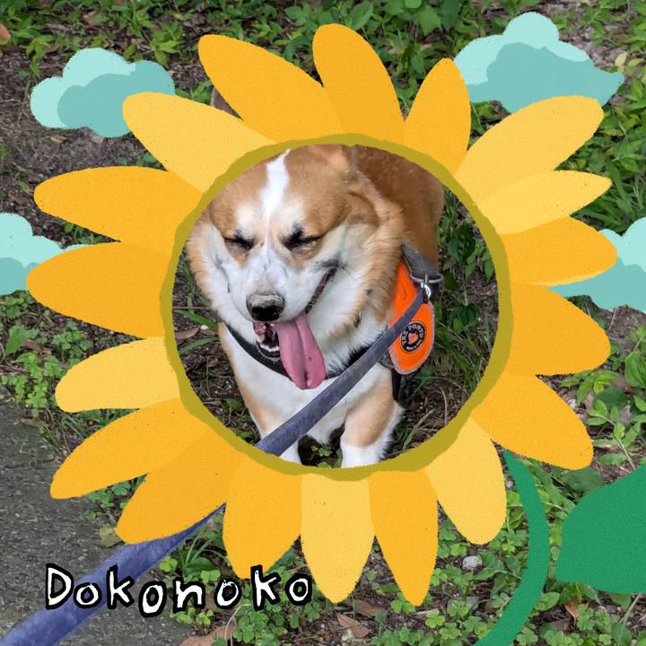 69951725 5b02 429e bf9f f9a0ba8af226 1723348503926