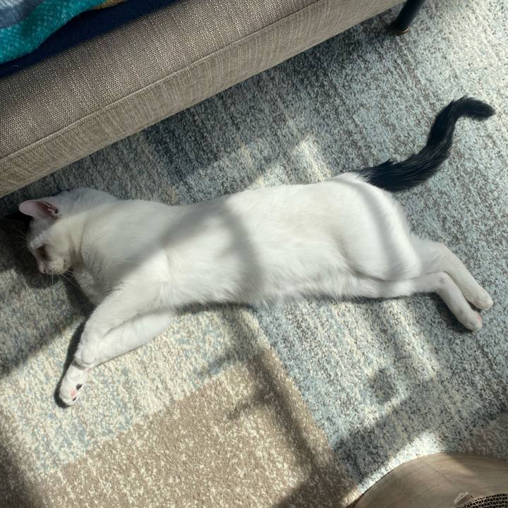 69951d5d 3dd1 4cb1 9197 6fb11c1779c9 1685233639691