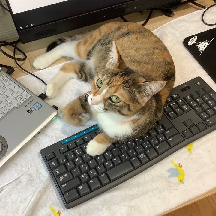 699531b1 c60a 4e31 86b5 f8d541c1465d 1599192454991