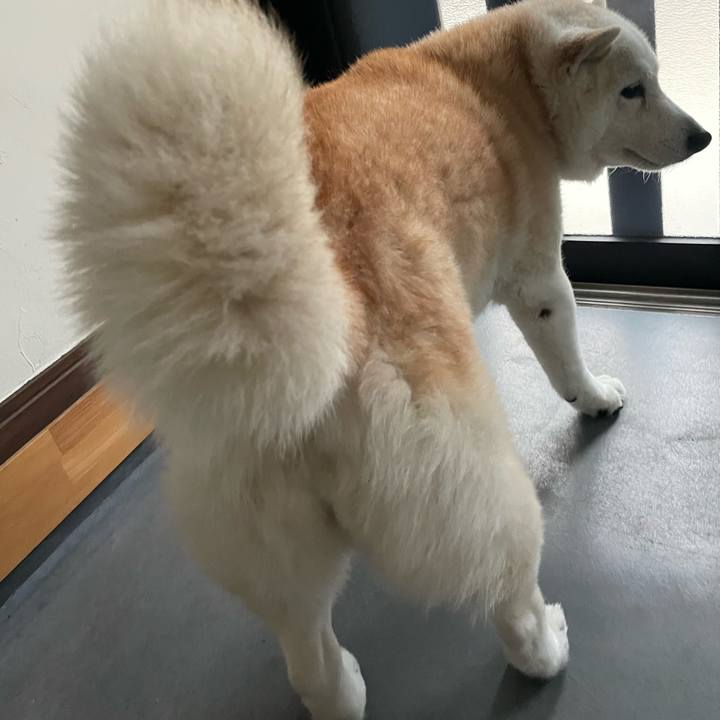 6995454e 2cbf 4b0b bed5 0ddd2d4bdefa 1681384549449