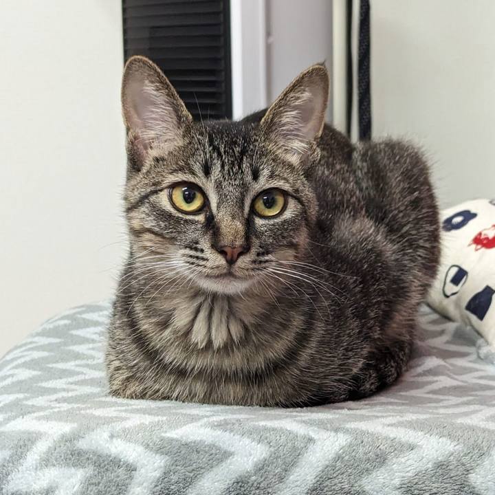 69955e34 1e46 4262 82e1 a070efcf7c8c 1711338429779