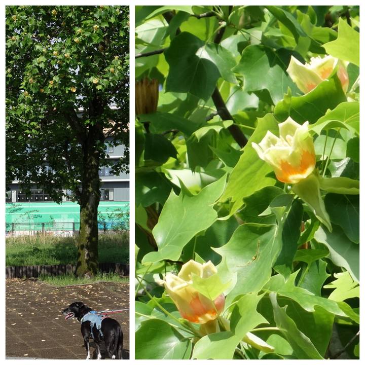 69959218 76fe 49ea 9d7c 2d8990613701 1714612883809