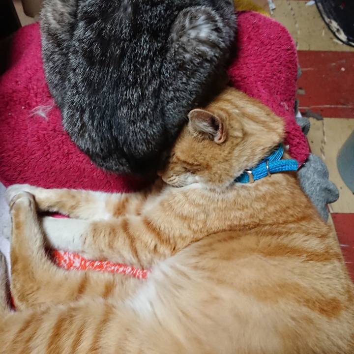 6995d192 bfc3 4168 87a8 9141b2ceff5e 1555497055078