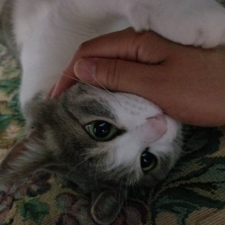 6995f17f 94c3 4b8e a9c8 935766352187 1530182908835