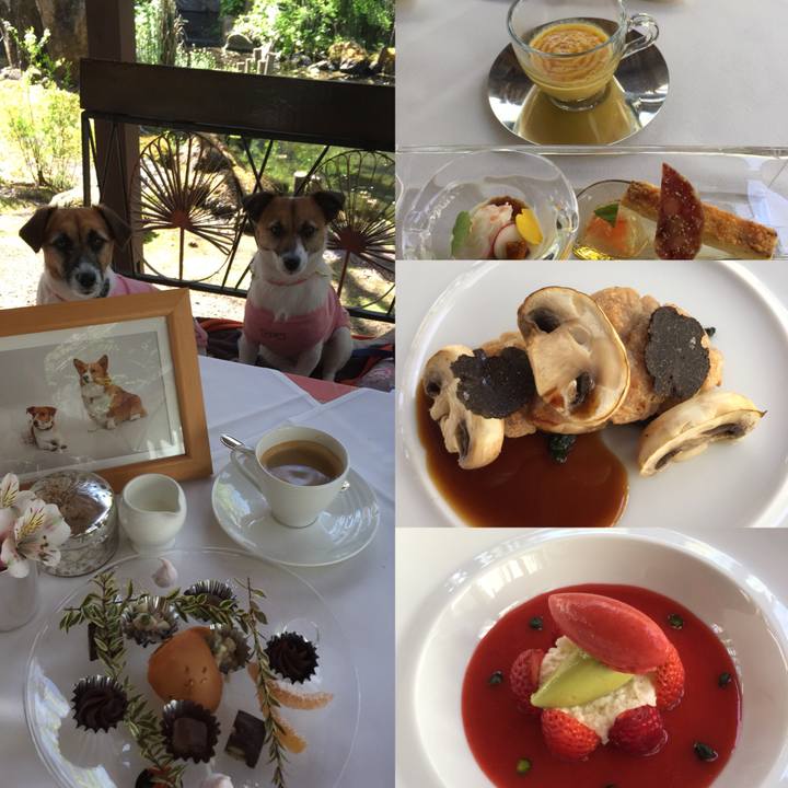 69960ad0 00db 41c9 9df4 b33dde593801 1524906802137