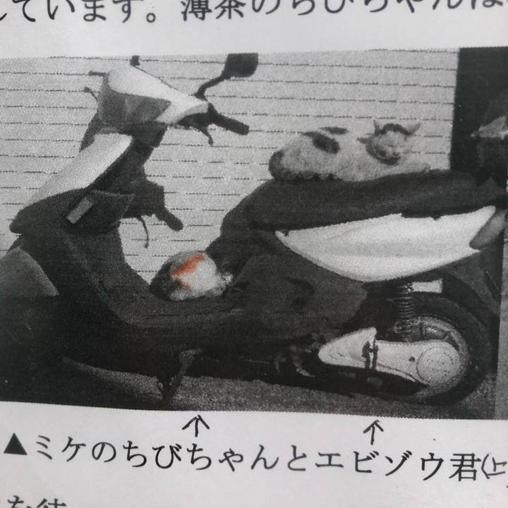 6996184b 1c75 4b49 903f 69b5bb07e782 1551461414015