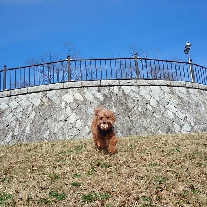 69964364 a2ac 404a abad 5e0e2ed933b9 1521508630529