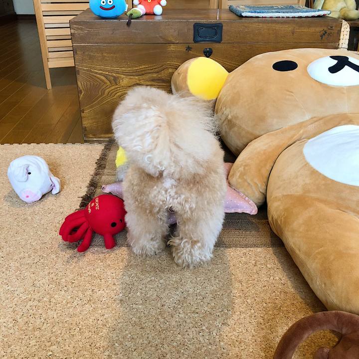 6996a380 6bce 467b bc5e e6cc51d47a1e 1523772571679