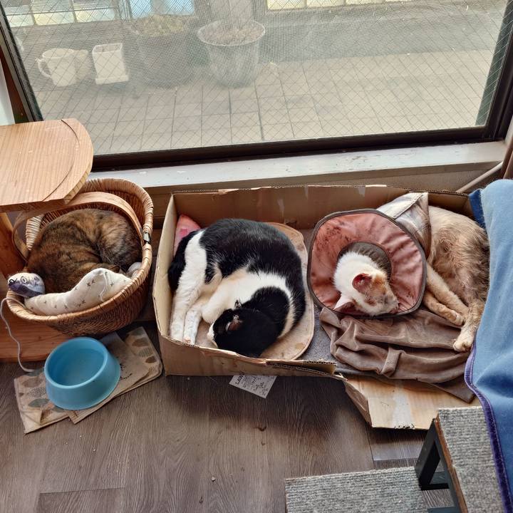 6996b304 e159 4bf3 8d53 593fc0381e01 1765521275915