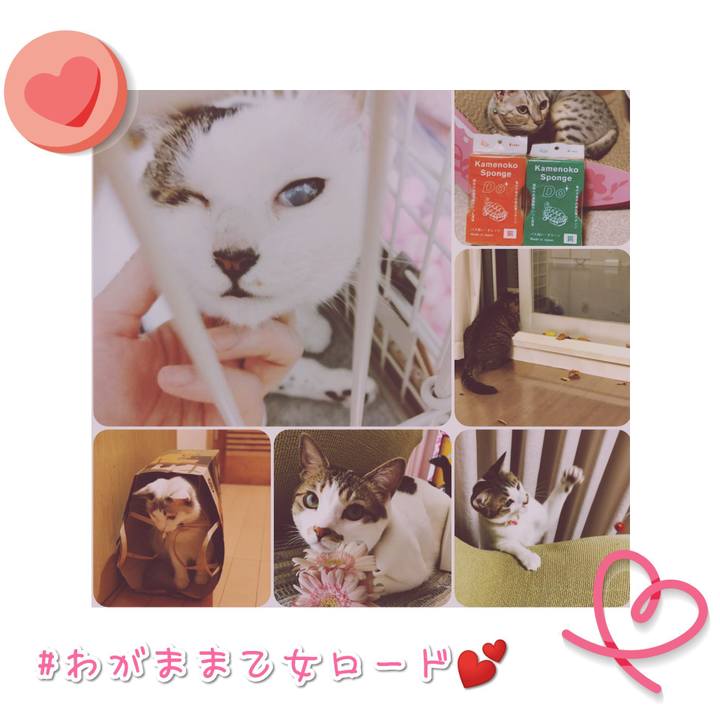 6996df69 7888 4e3f 8773 ae88666afbd1 1567424161202