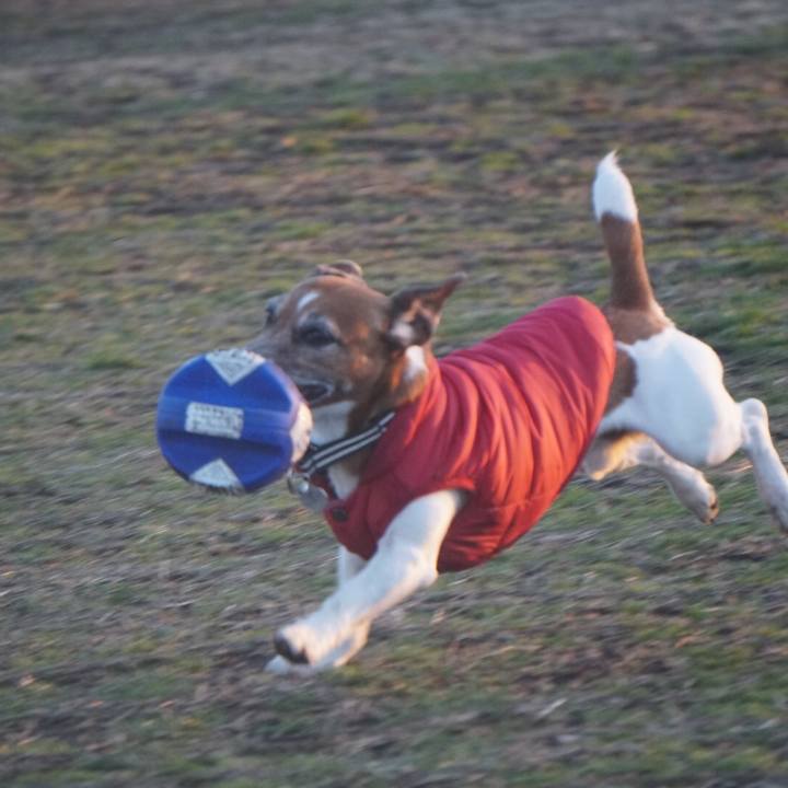 6996e4fd c597 4efc 80f8 559b50813c74 1613518249685