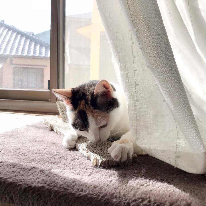 6996f8bc e5ea 4a29 9c64 93b1fece09c0 1536155768671