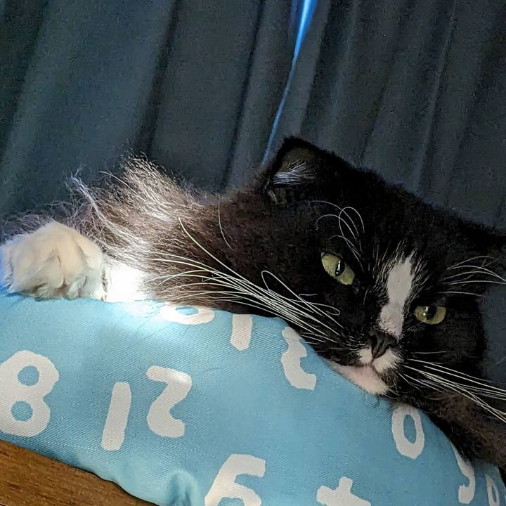 69970d37 3579 4088 b29e 0e8700f45176 1701300123949