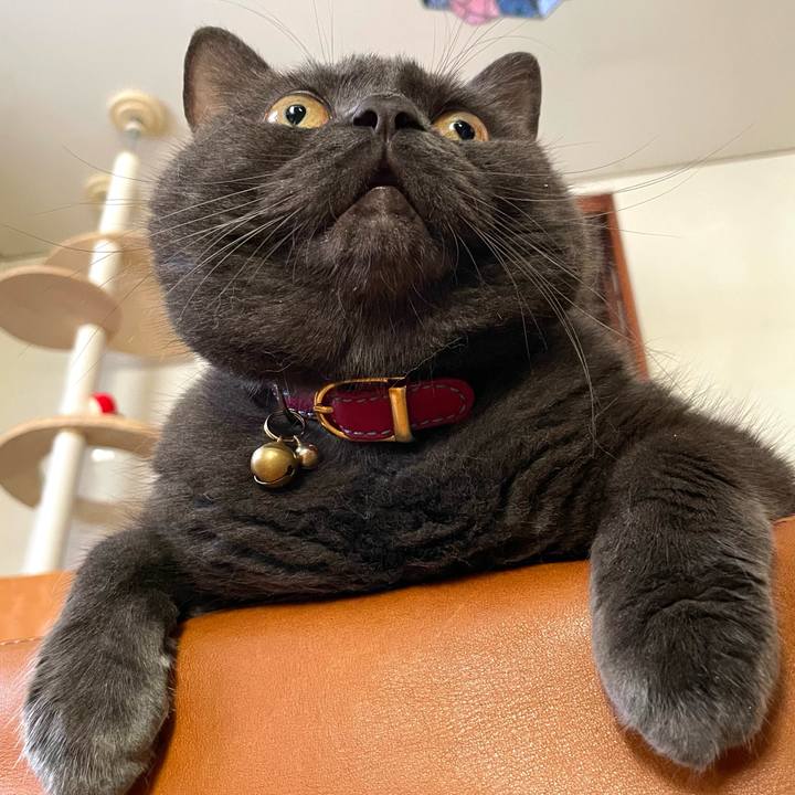 69971355 5df2 4424 bab2 411195324b5e 1756256323295