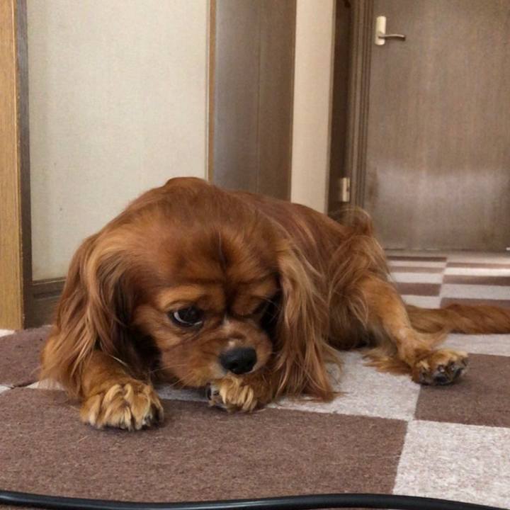 69971524 0473 45c2 b2f2 cb7e6bcbd5bc 1591137635720