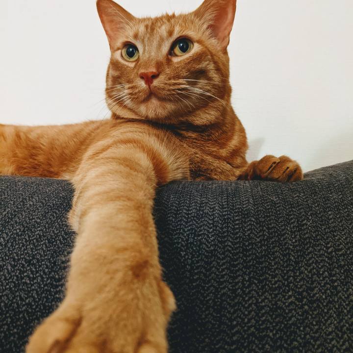 69976d39 3d0f 437c a089 76b3b2555329 1619515201624