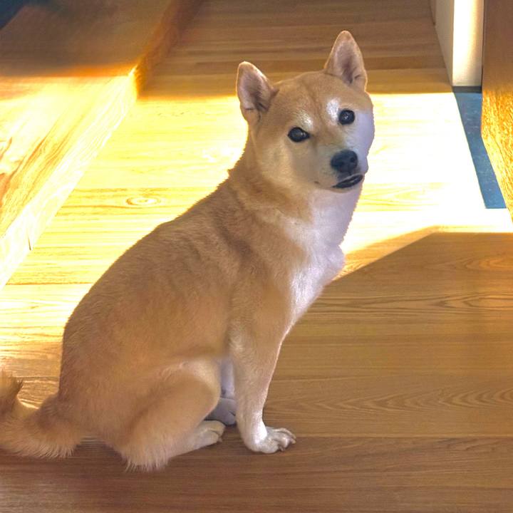 6997855b 6e7f 4028 981b 51aff014f58c 1773796605693