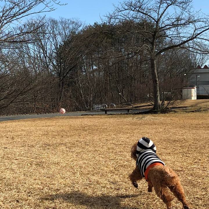 6997a21f 2a17 4880 b2ff 0e7c006c926b 1578692683069