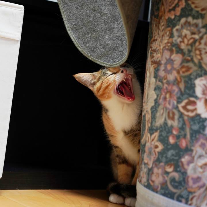 6997af53 0dd7 495b a364 00e906649b1e 1575589841805