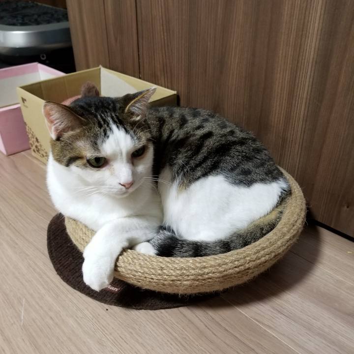 6997b165 68e4 4ab6 b9dd 81c108e41ff6 1620855562962