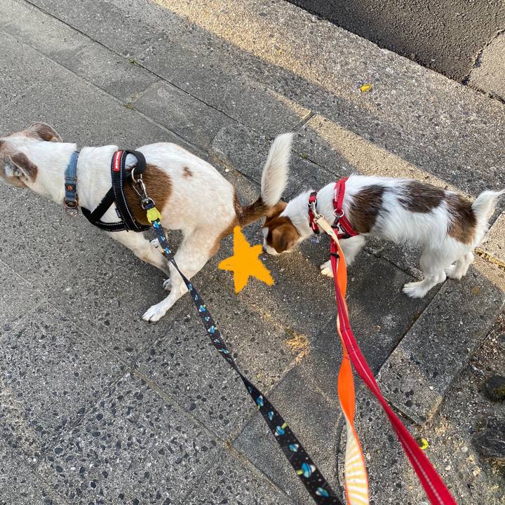 6997ceec 50c3 4884 821d a85715adfc13 1619668513494