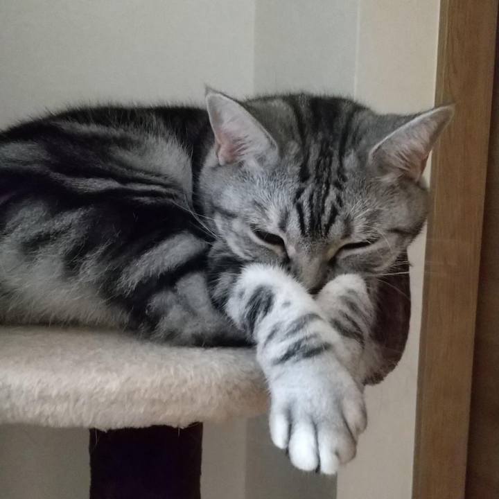 699825ba a377 449f a856 162c11437222 1664076908604