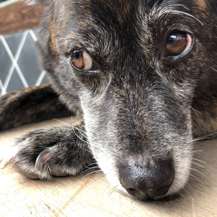 69982938 32ed 4a5d 8fbe 55c532f50924 1628678727057