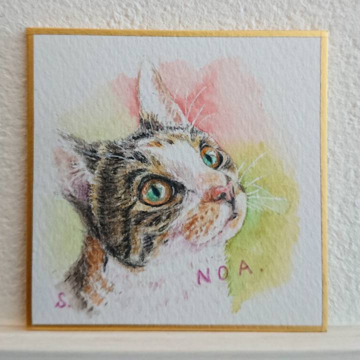 69982f16 8b26 401e a449 36bb0850eafb 1586513105550