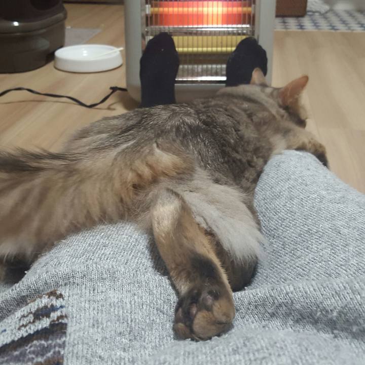 699837a2 7a21 47d1 a58e 35f6e3d519c5 1517102080960