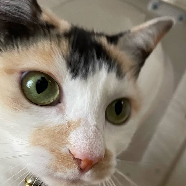 69985b6e 97a7 4c84 b620 f5c6c5493e22 1740753450454