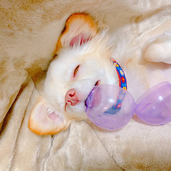 69987d3f 7e73 4ee3 b711 f70e7ac8925e 1636637367242