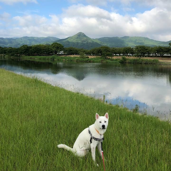 6998a807 880a 4e48 9560 0be47b82a647 1533857627850