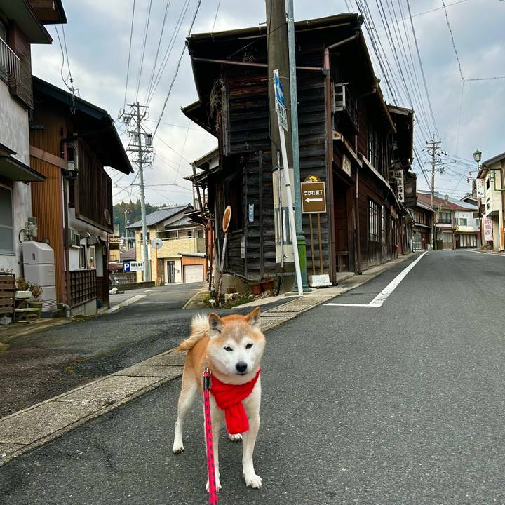 6998b9fa 6717 48fe b3d0 1bcce2cc5776 1767603489783