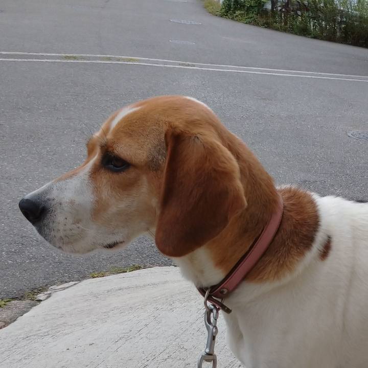 6998bccc 893a 425f b815 d391cdd6d36f 1595039895797