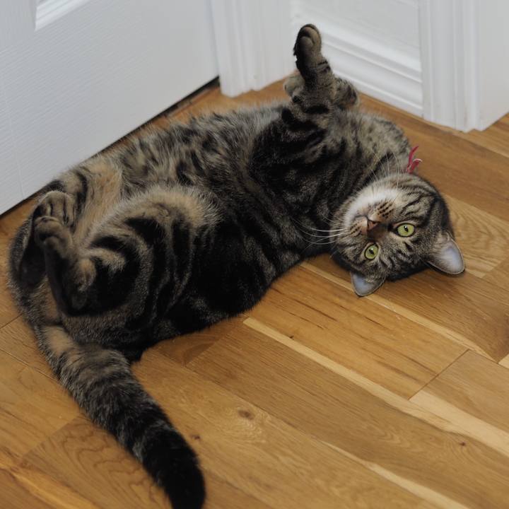 6998d25f 0569 4785 a543 a3c17f6f003d 1641098243187