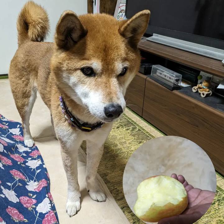 69996c1b a4d2 46c1 b8a1 1527a6e2c990 1709382601777