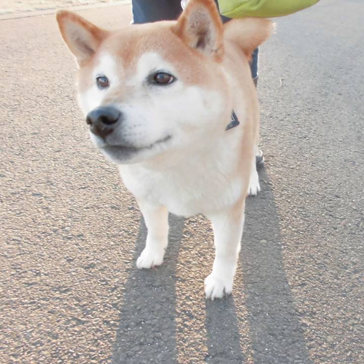 69997e54 d599 45dc 9991 3a5e71f445df 1518605624030