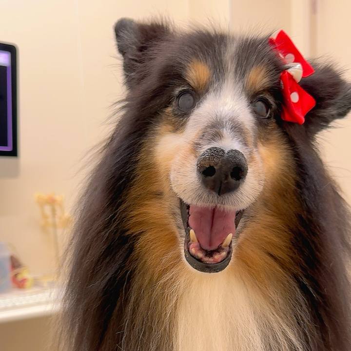 6999becc c619 4cdb 9726 d878ba4c99dc 1755447449666