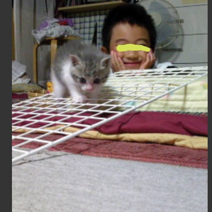 6999ddd7 47a9 4305 a54e 24cd215c5453 1549377168546